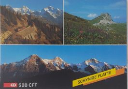 SCHYNIGE PLATTE  -   Carte SBB - CFF