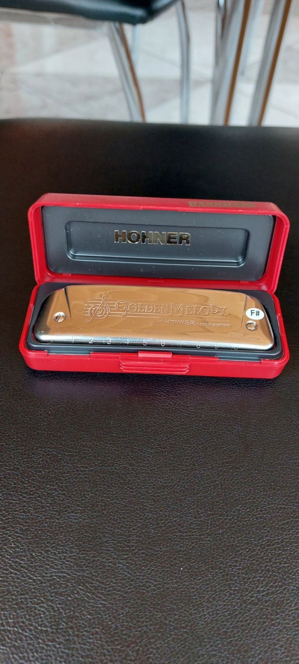 Hohner Musikinstrumente: Hohner Golden Melody 542/20 LowF# – Neu (gemäss Beschreibung) aus Uffikon von Bbingo 1