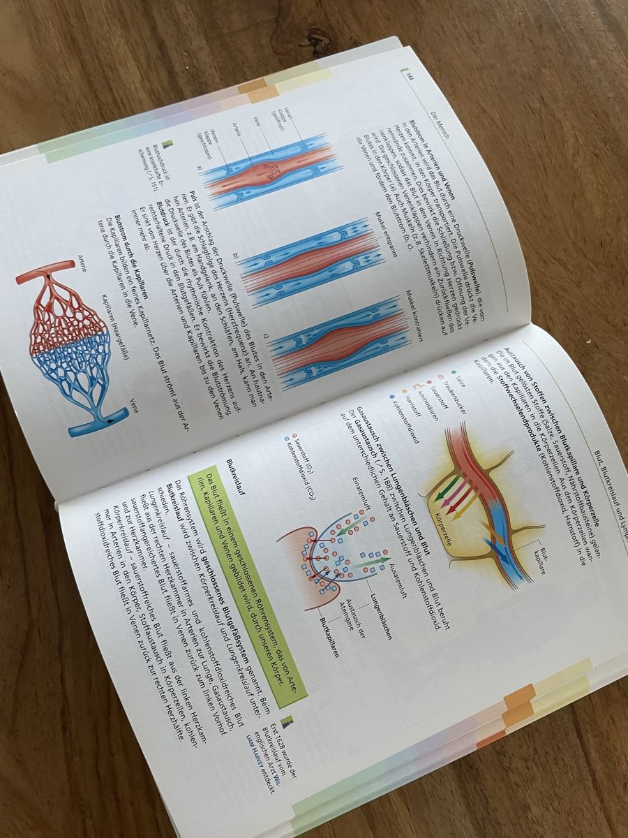 Bücher: Duden Biologie Basiswissen – Gebraucht aus Waedenswil von Paps04 3