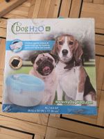 Dog & Cat H2O Fresh & Filtered Water for Healthier Pets