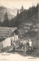 Berner Alpen (BE) Alpenlandschaft mit Bauern und Kuh