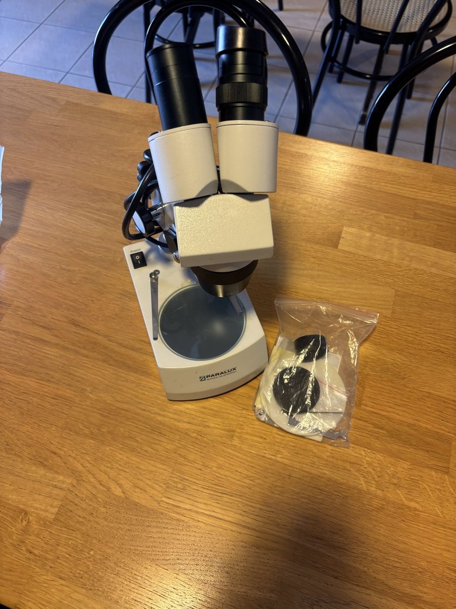 Mikroskopie: Stereomicroscope PARALUX WF – Gebraucht aus Morges von Brunocunha05