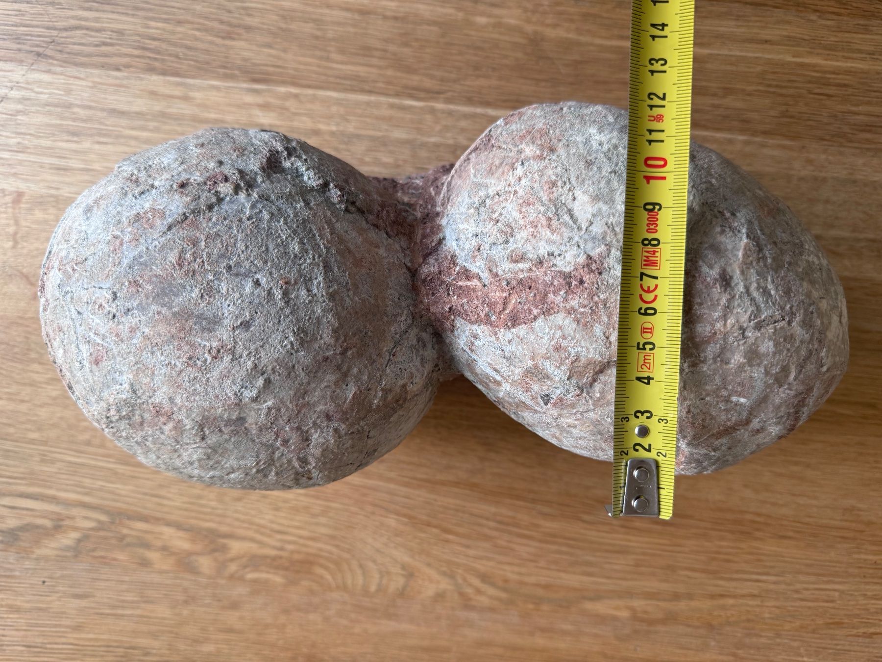 Fossili: Dinosaurier Fossil - Hadrosaurus/Dendroolithus Eier – Usato da Zürich venduto da xevious69 2