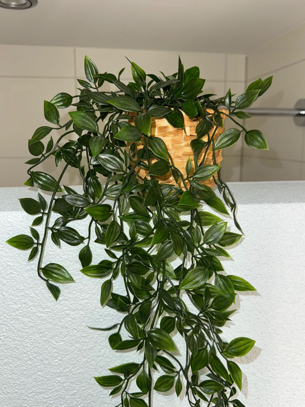 Toutes les décorations: Dekopflanze Plastik IKEA – D'occasion à Baar par melanielu 5