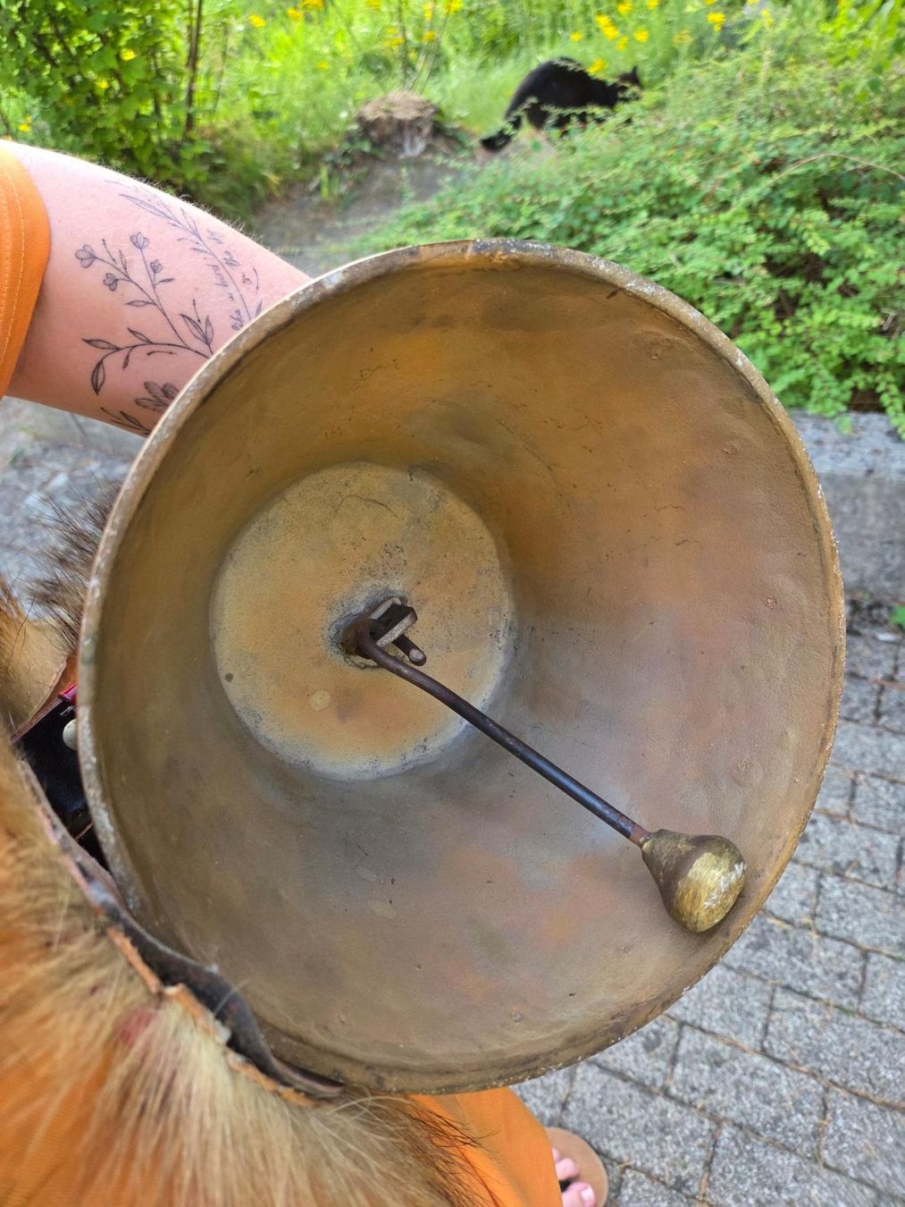 Campanacci mucche: Berger Glocke 2 Stück – Nuovo (secondo la descrizione) da Oberurnen venduto da adrizi 5