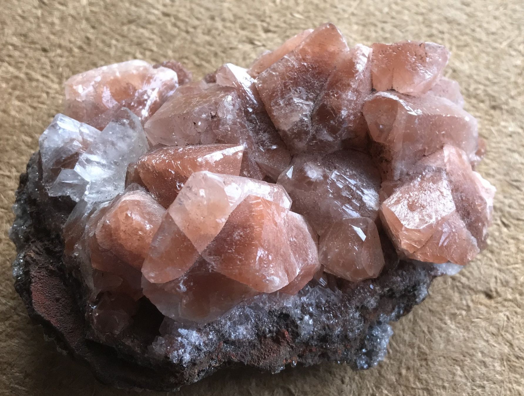 Minéraux & Lithothérapie: MINERAL – D'occasion à Ostermundigen par crazy-horse-1840 5