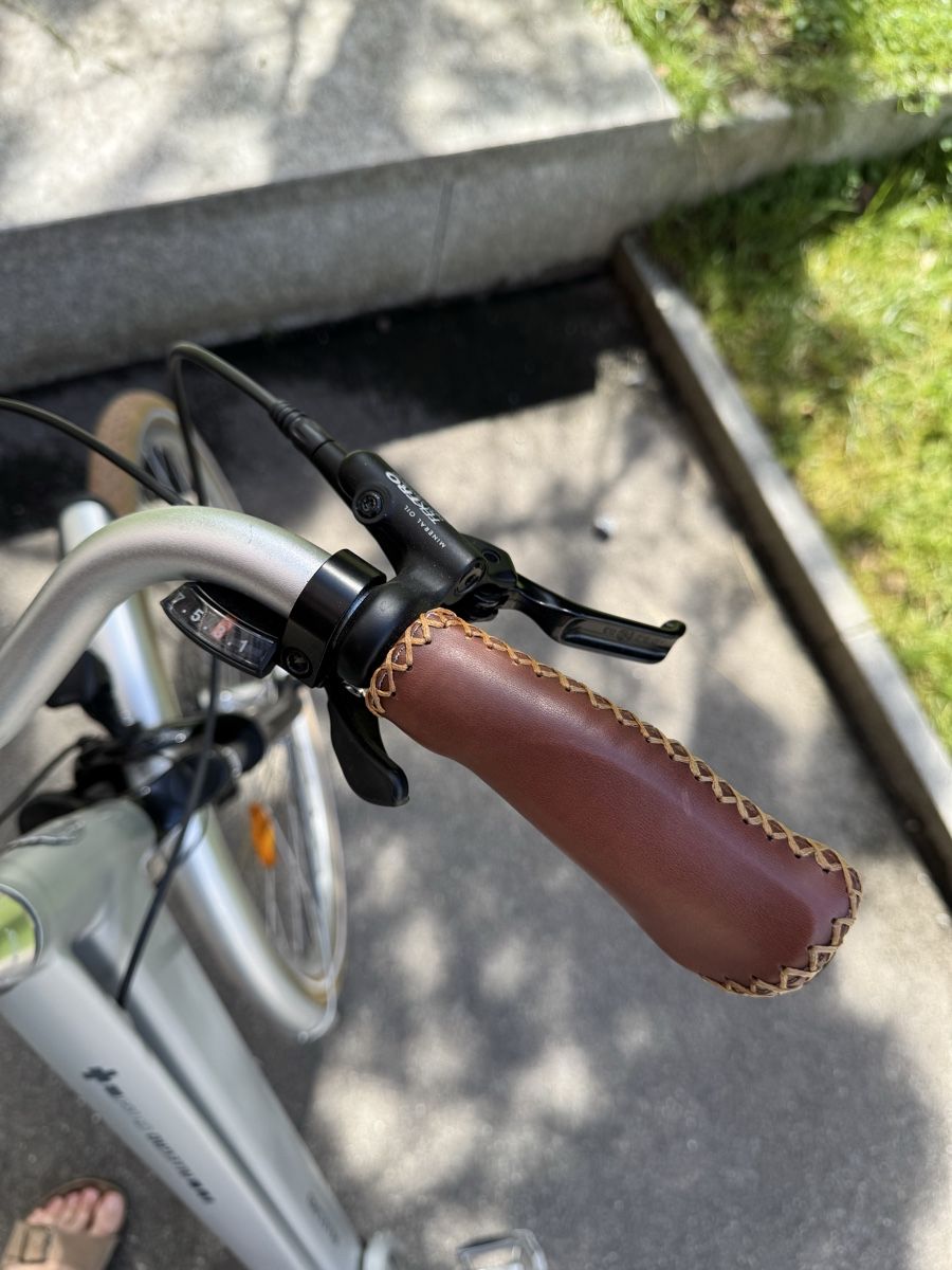 Biciclette: Allegro E-Bike, Top Zustand – Usato da Zürich venduto da MarcelMarina 4