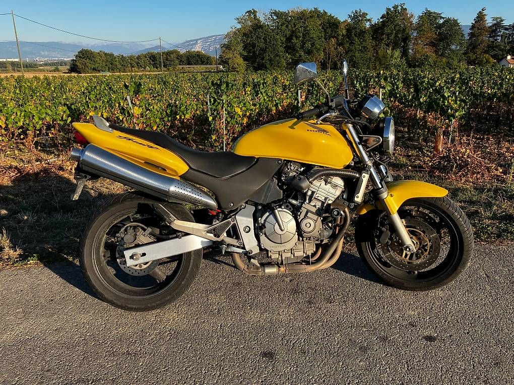 Strada: HONDA Hornet CB600 – Usato da Bernex venduto da ati_5d85