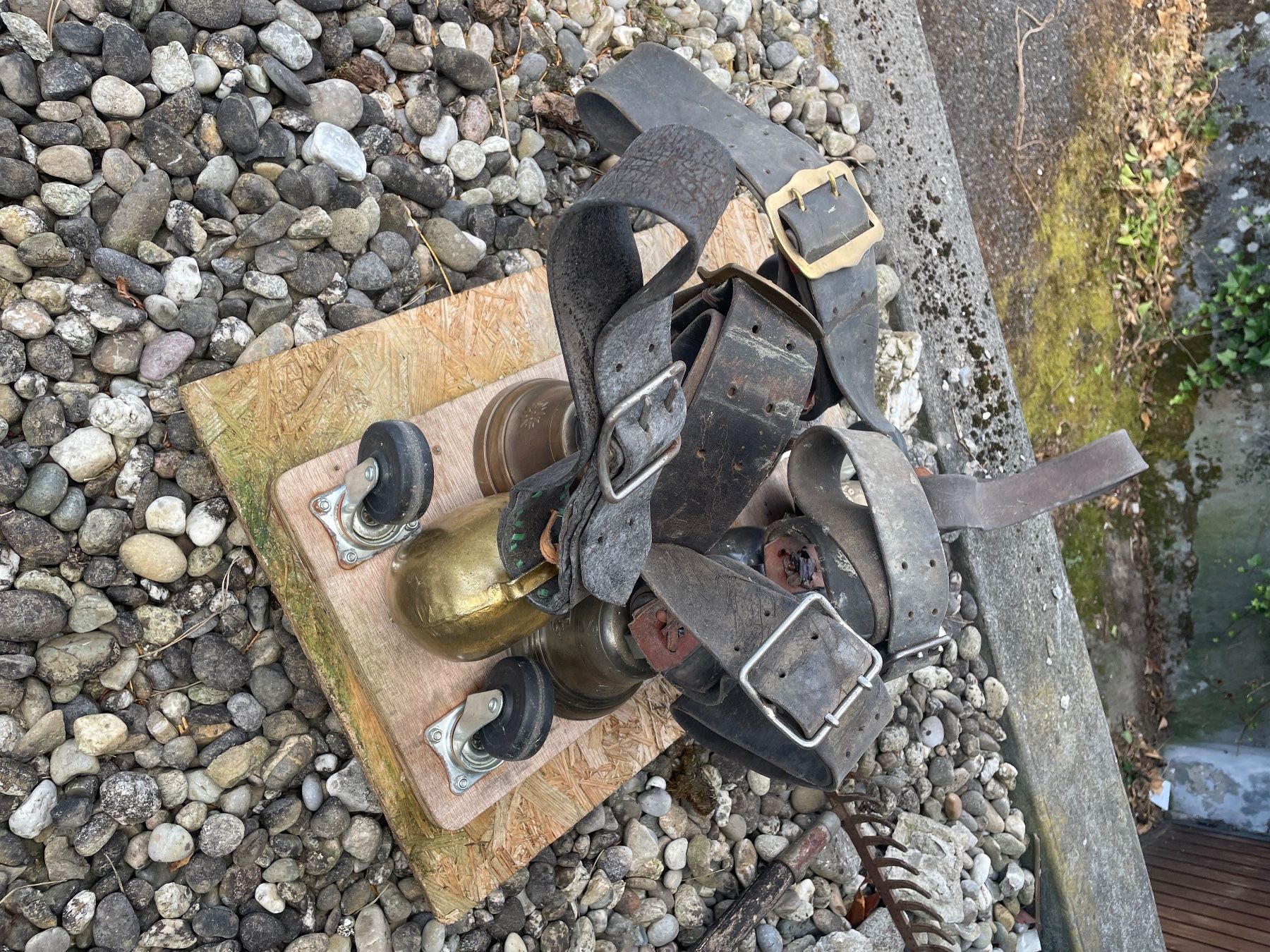 Campanacci mucche: Glocke – Usato da Brittnau venduto da silva_claudia