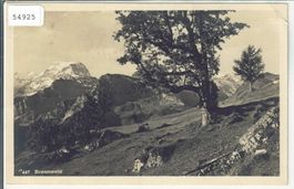 Braunwald - Landschaft