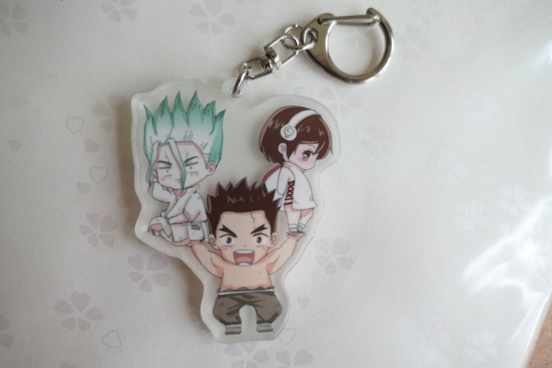 Portachiavi: Dr. Stone - Acryl Anime Anhänger – Nuovo (secondo la descrizione) da Ettiswil venduto da maimaiswiss 1