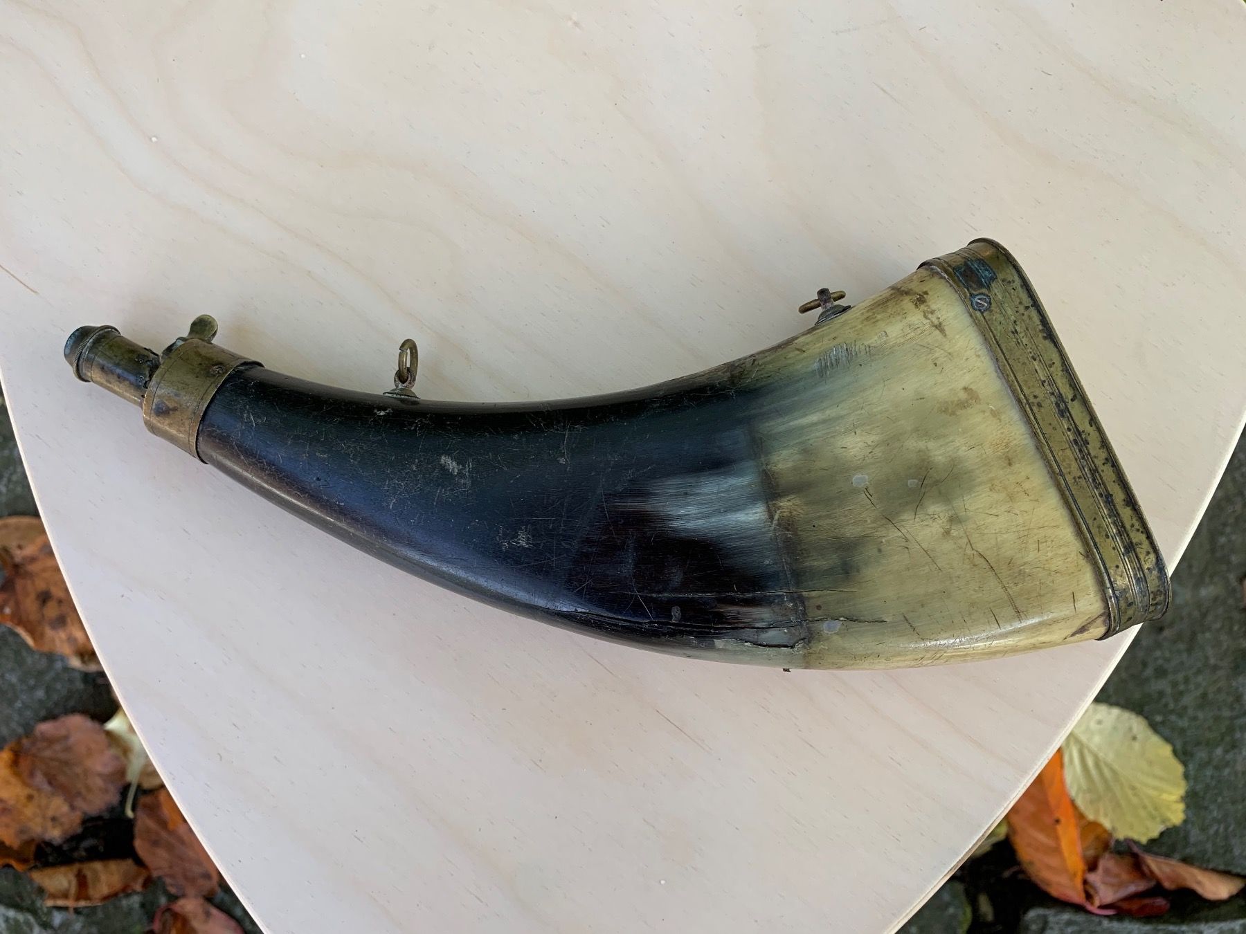 Il mondo degli animali: antikes Pulverhorn – Usato da Feldbach venduto da Olive1