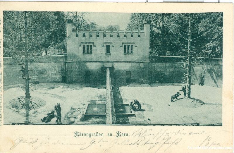 Cartoline postali: Bern - Bärengraben + 1899 – Usato da Emmenbrücke venduto da teestube