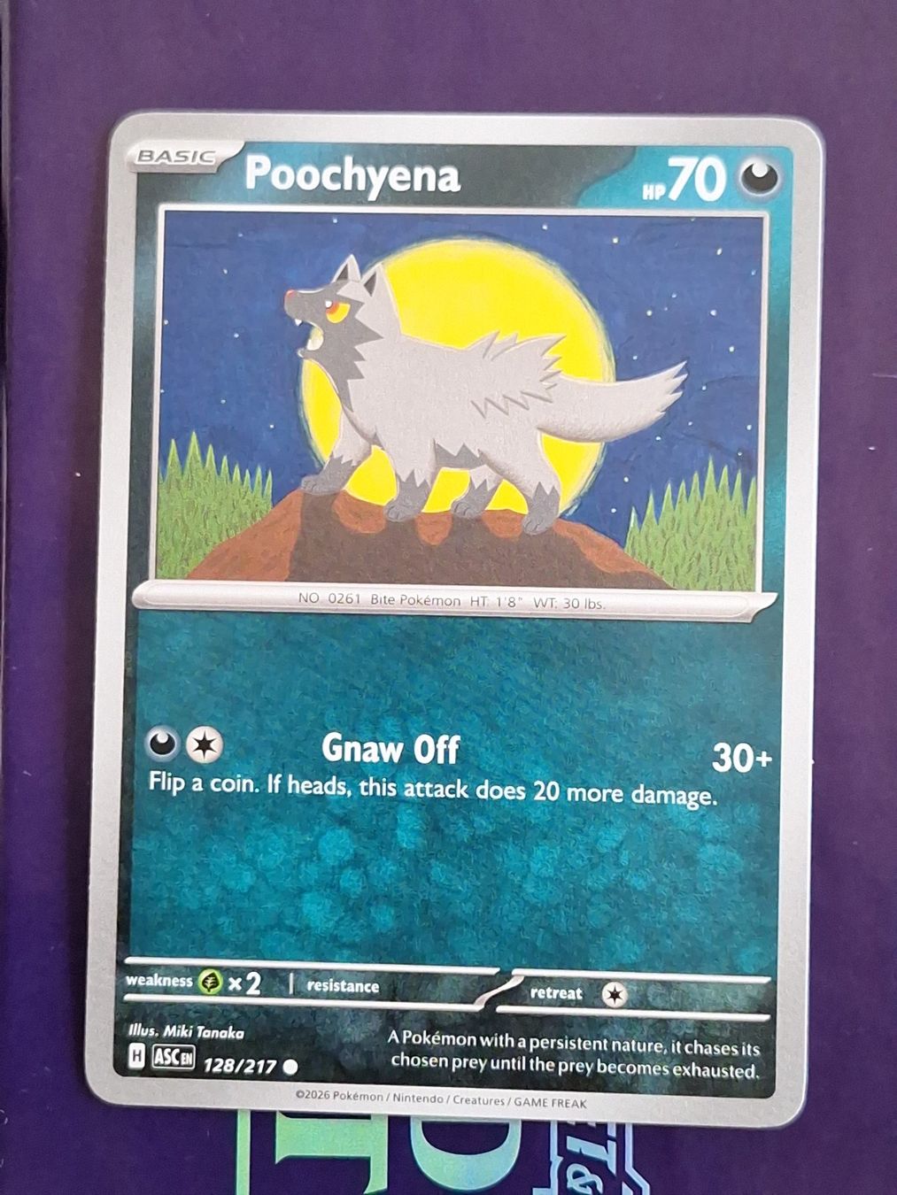 Pokémon Carte collezionabili: Poochyena - Pokemon Ascended Heroes – Usato da Altstätten SG venduto da GGsGameshop