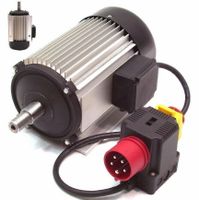56193 - Elektromotor Wippsägenmotor 400V Sägemotor