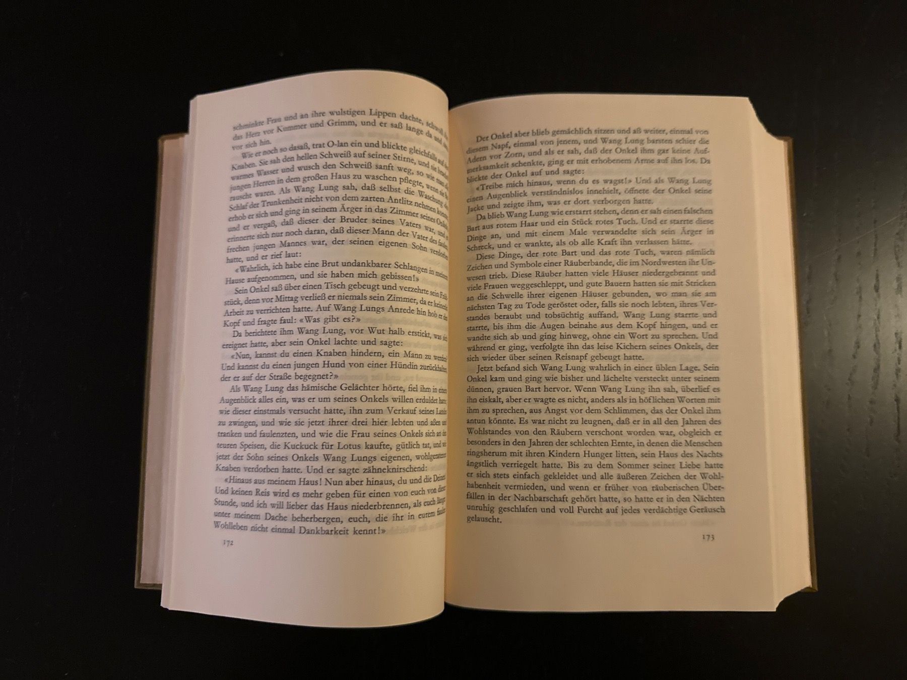 Libri: Das Haus der Erde – Usato da Erstfeld venduto da Mario_boe0 3