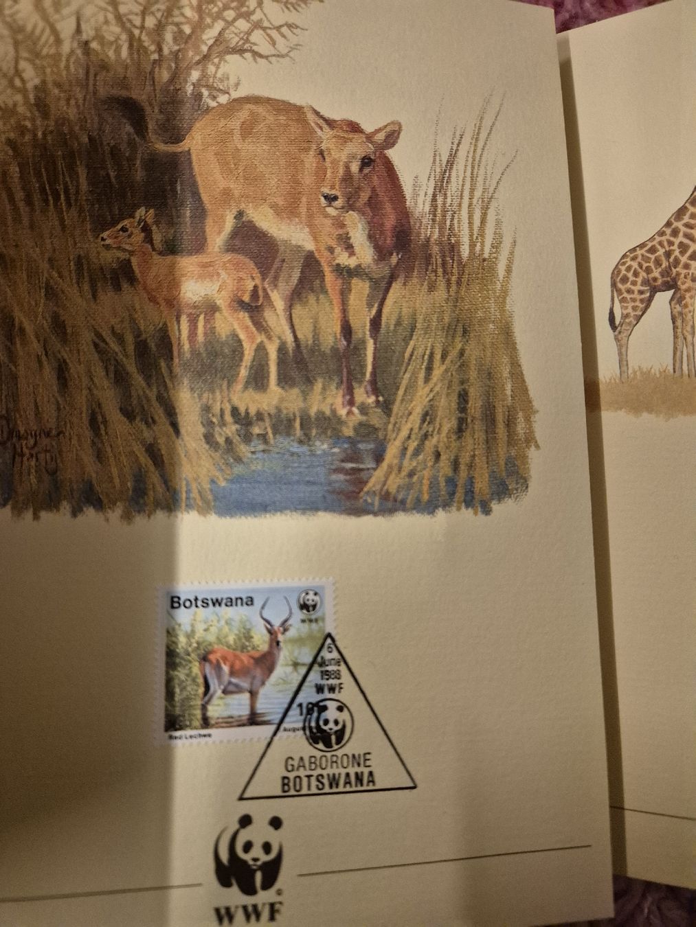 Alle Briefmarken: Briefmarke,Brief mit Couvert WWF,4 Stück – Neu (gemäss Beschreibung) aus Villmergen von MONCHHICHI 3
