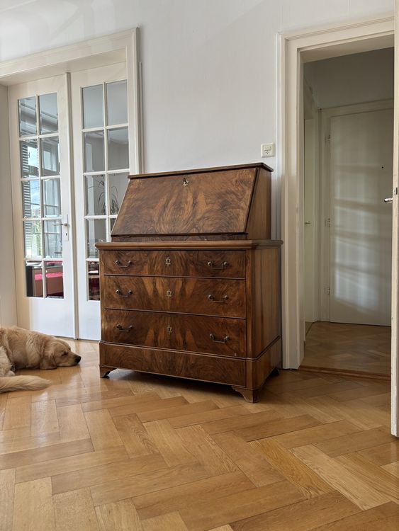 Sekretär nussbaum biedermeier (Gebraucht) in Basel für CHF 84 – nur ...