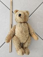 alter Bär