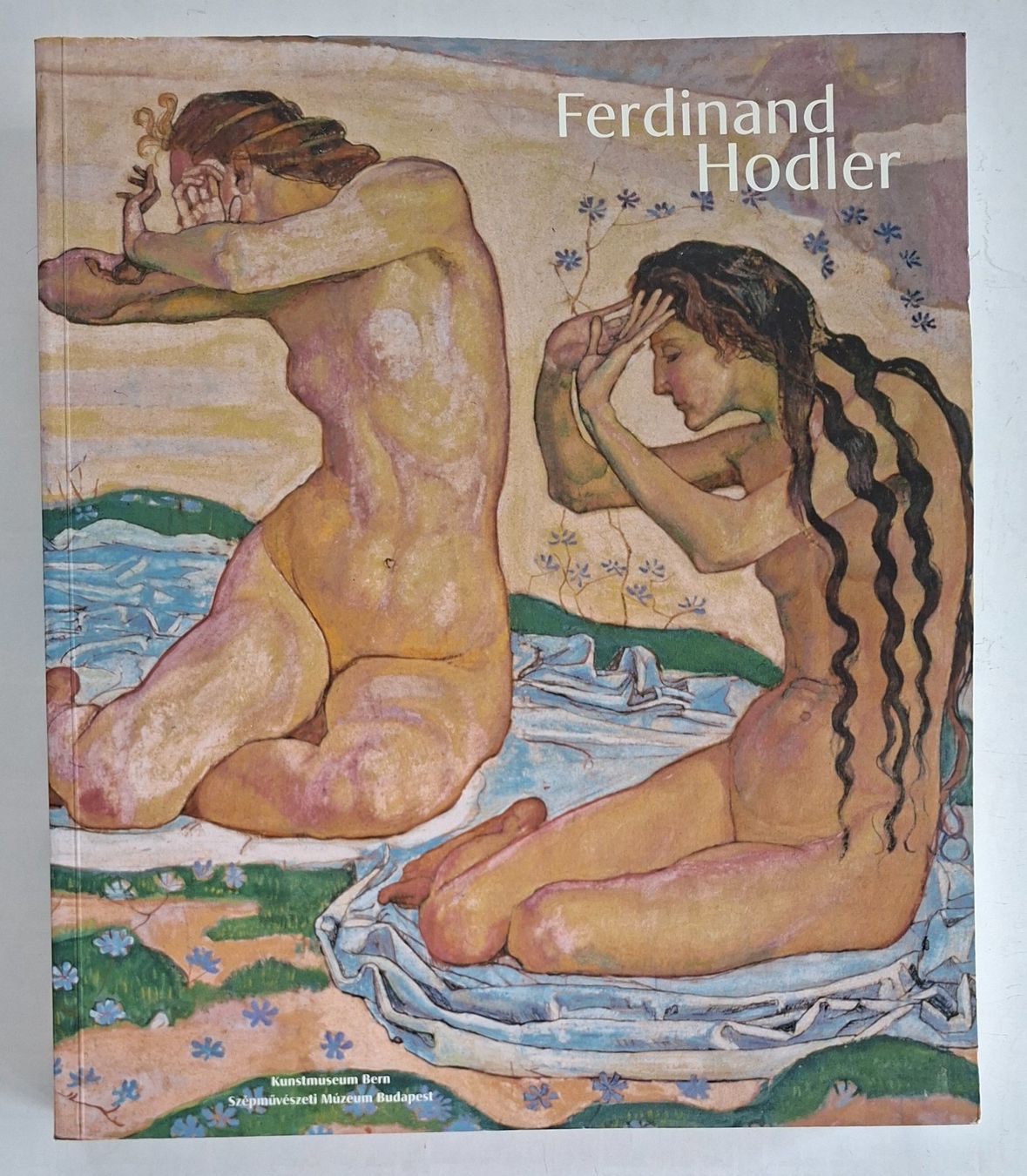 Bücher: Ferdinand Hodler Kunstbuch, selten, vergriffen – Gebraucht aus Opfikon von Diversamente
