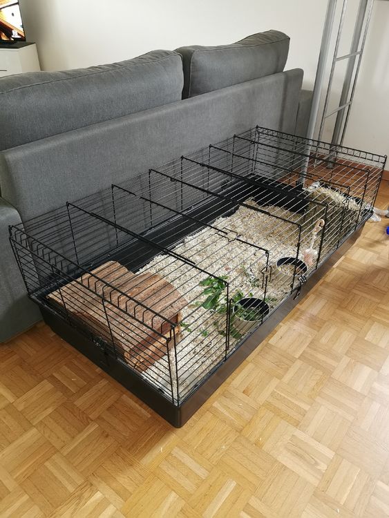 Meerschweinchen Brücke Aus Holz – Käfigzubehör Für Kleintiere, Groß, Einfach Zu Montieren