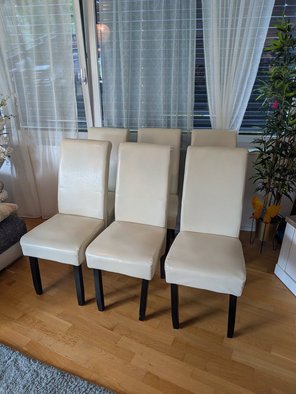 Sedie: 6 x Stühle – Usato da Basel venduto da talca88