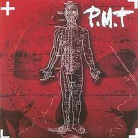 P.M.T. ACUPUNCTURE FOR THE SOUL Alternative Rock Nu Metal CD