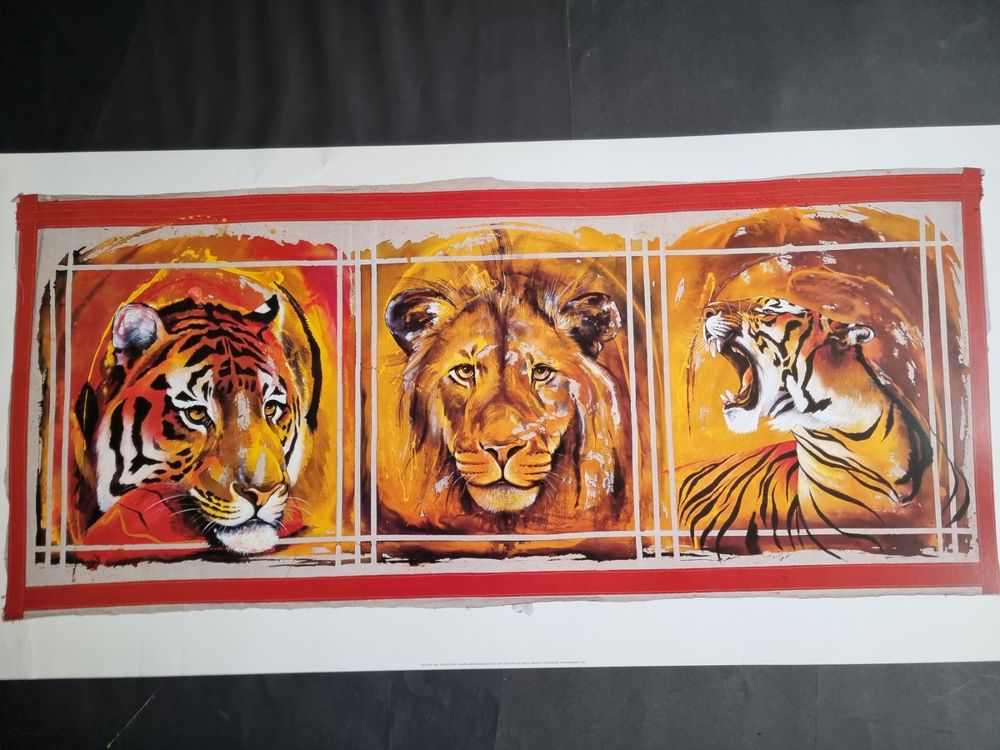 ROLF KNIE TIGER UND LÖWEN GRAFIK GRÖSSE 100X50CM ZUSTAND GUT 4