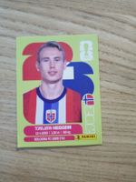 Panini Sammelkarte NOR 8 Torbjørn Heggem 