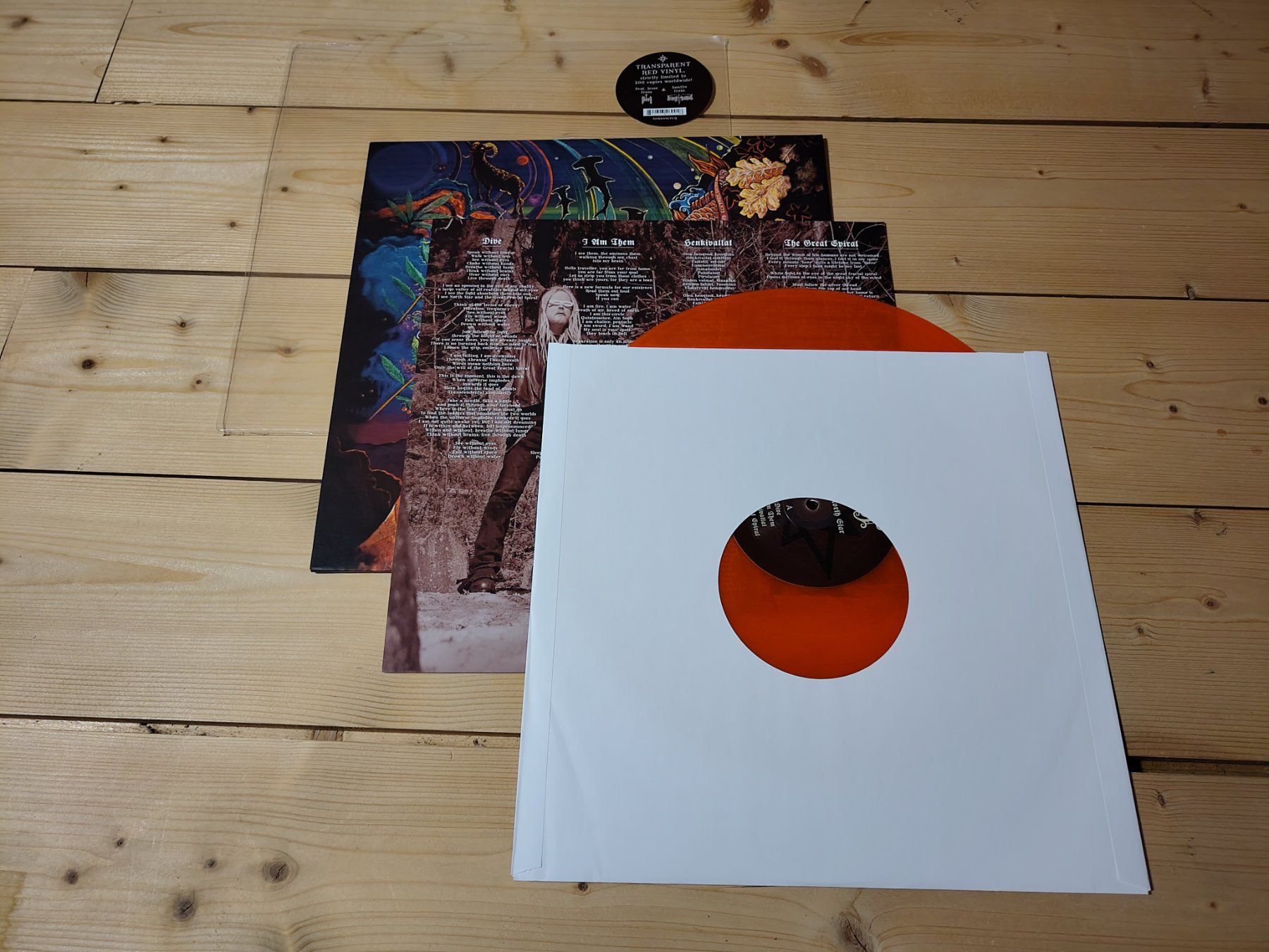 Dischi in vinile: Henget - Beyond North Star – Usato da Wasterkingen venduto da Palu17 1