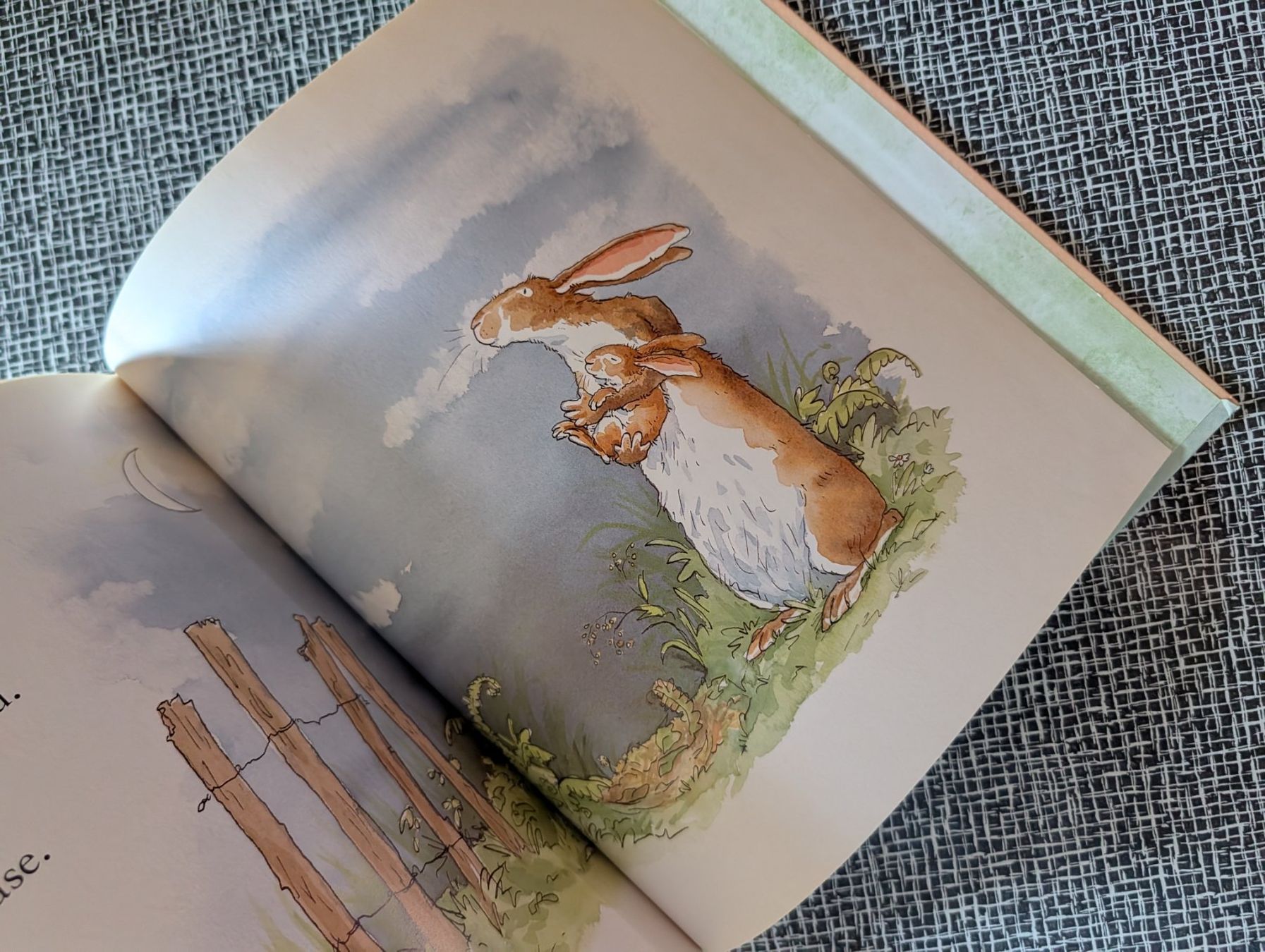 Libri: Kinderbuch "Weisst du eigentlich, wie lieb ich dich hab?" – Usato da Nänikon venduto da Haexli_70 3