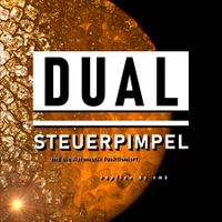 💢 Steuerpimpel für Dual Plattenspieler (4 Stück)
