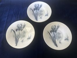 Villeroy & Boch Iris Unterteller Konvolut gebrauchter Zust.