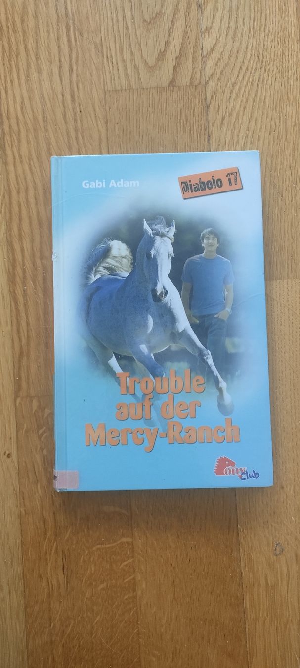 Bücher: Diabolo – Gebraucht aus Mönchaltorf von Icelandichorse