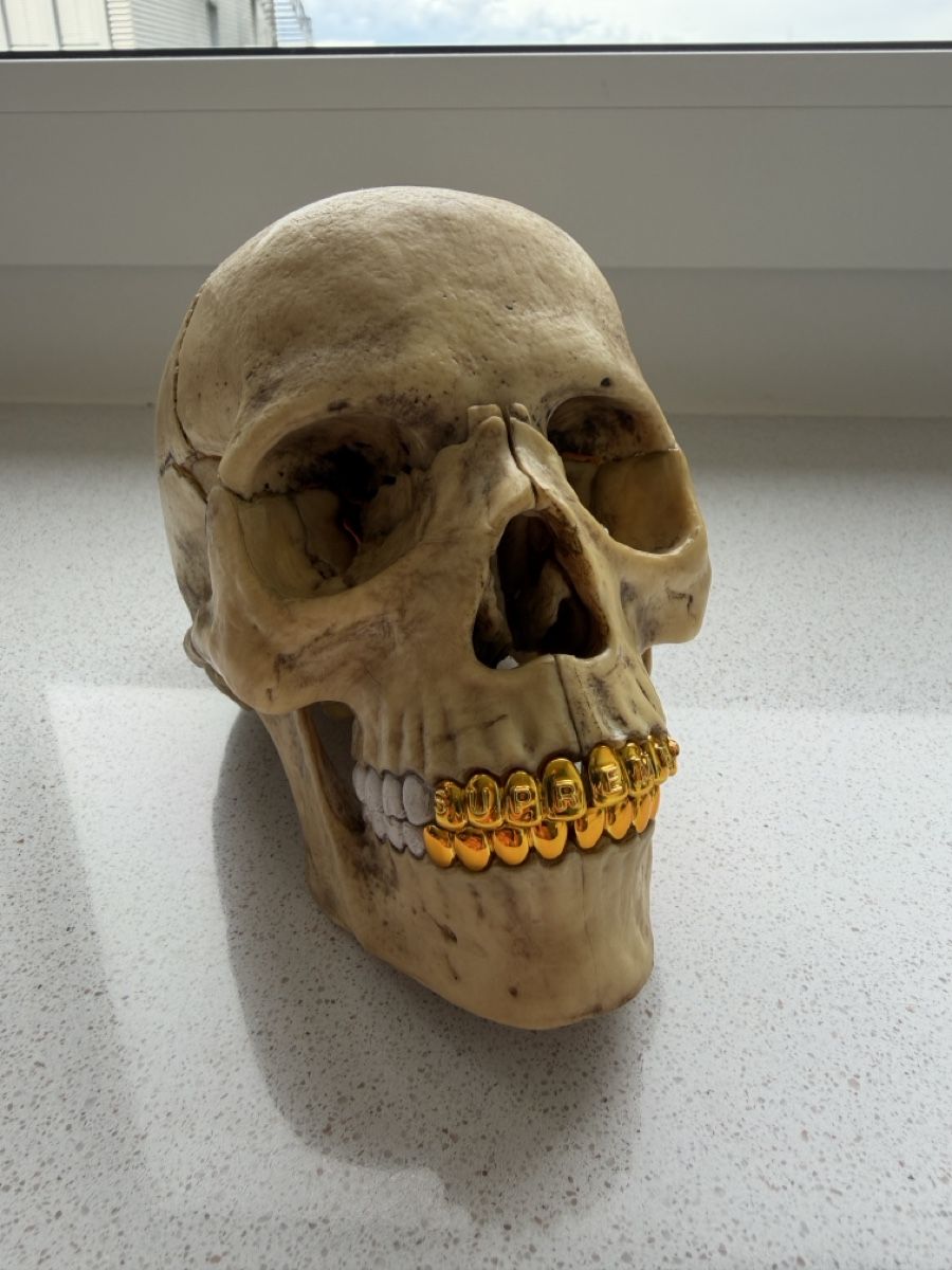 Statuette: Supreme x 4D Master Skull  – Nuovo (secondo la descrizione) da Muttenz venduto da rvo_g7rs