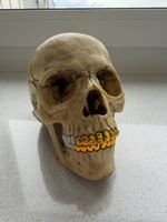 Supreme x 4D Master Skull 