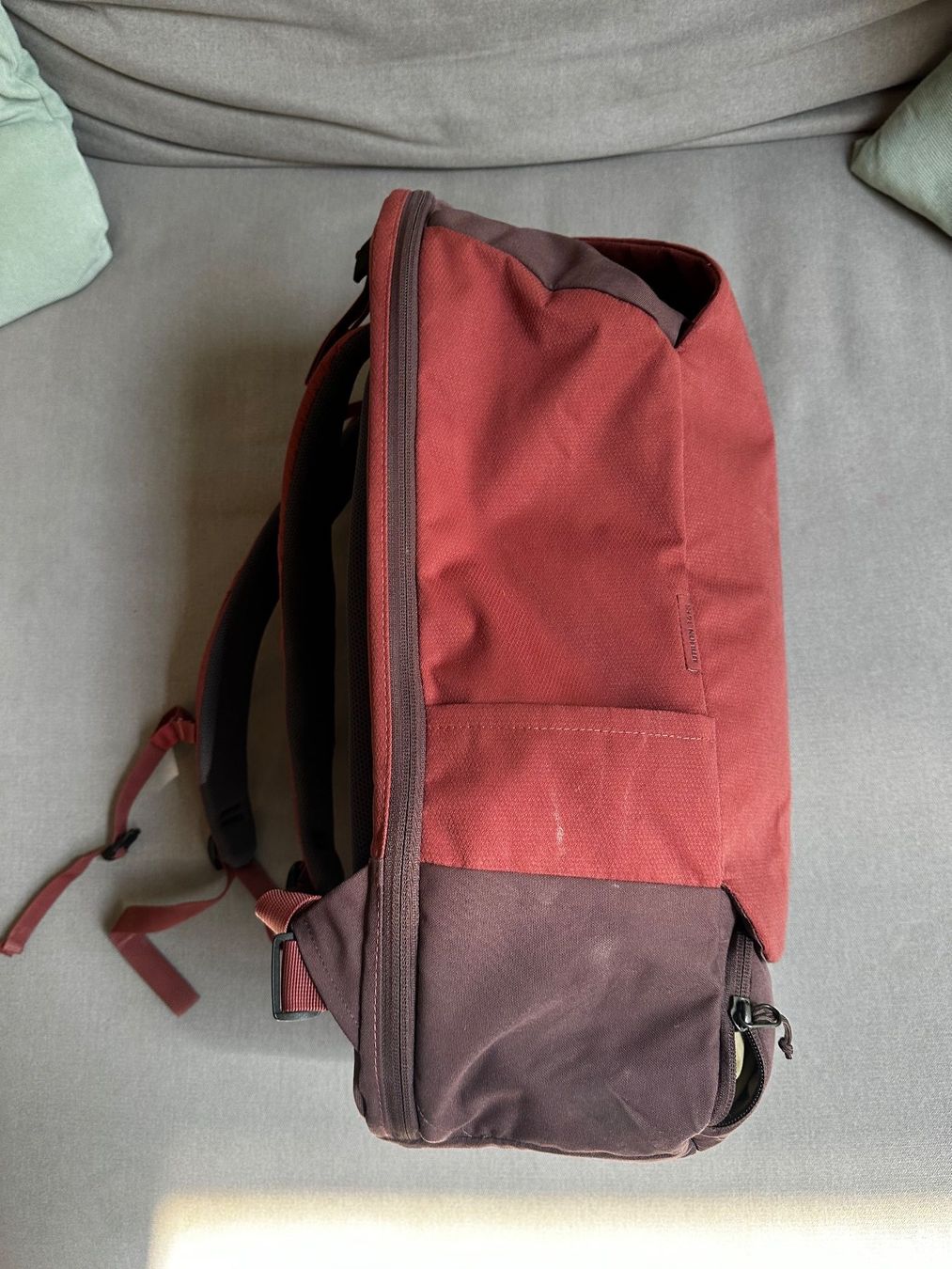 Deuter Zaini: Rucksack Deuter Utilion 34 + 5 in Raisin rot – Usato da Winterthur venduto da gumble_ch 4