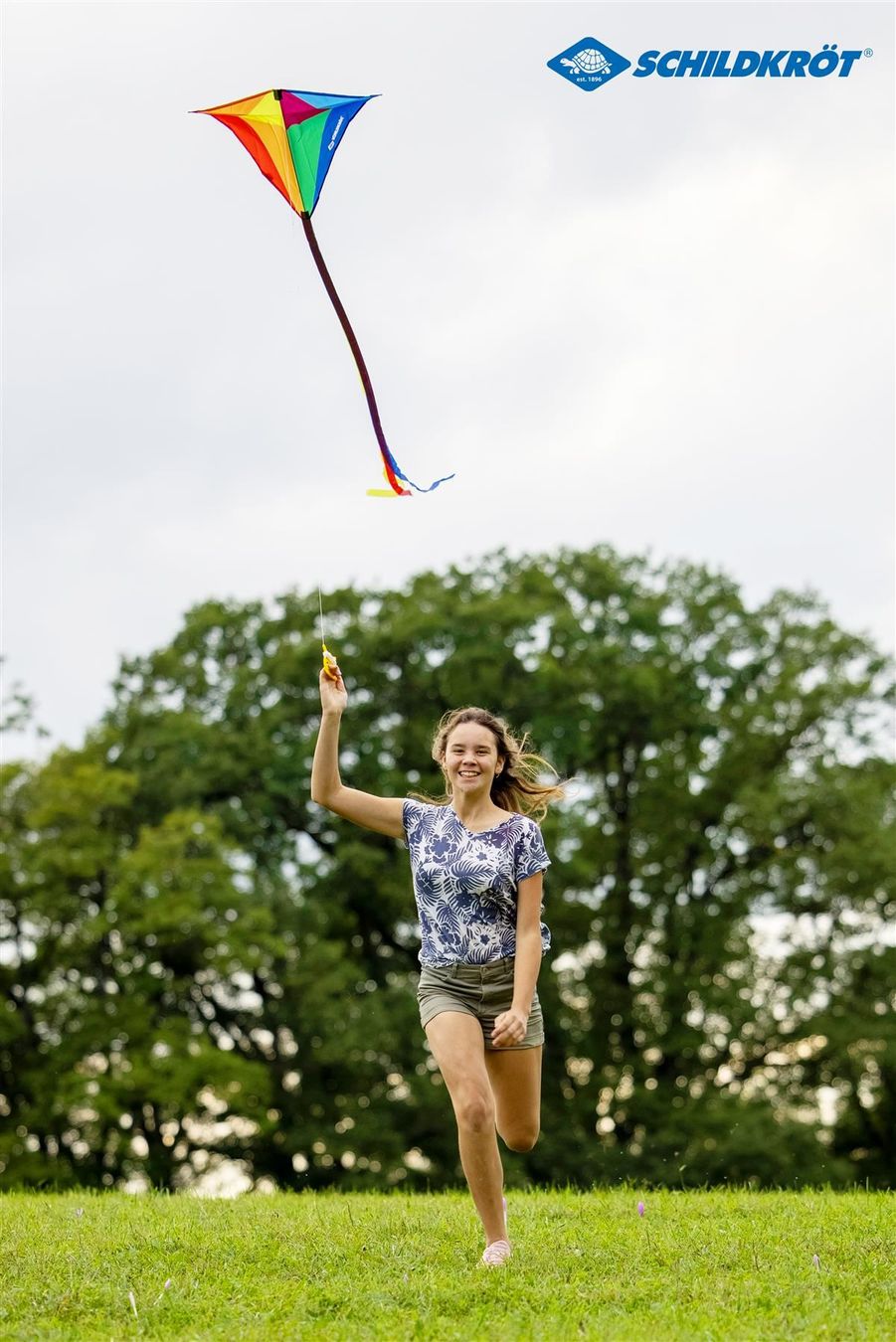 Aquilone: Lenkdrache Classic Kite 70 Diamond – Nuovo e nell'imballaggio originale da St. Gallen venduto da cointec 2
