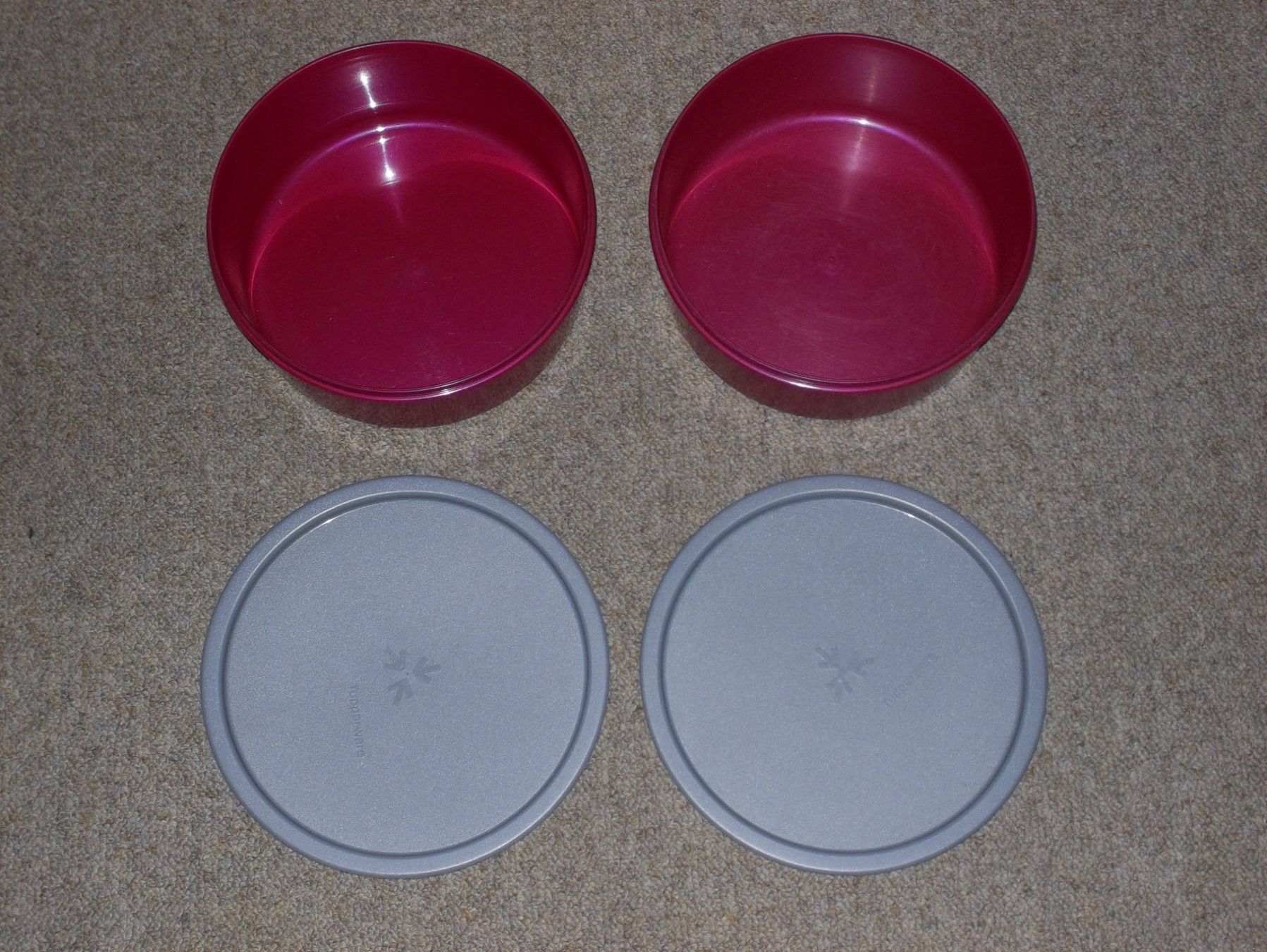 Tupperware Contenitori & Simili: Tupperware Guetzli Behälter / Box – Usato da Kaltbrunn venduto da Cindy99 1