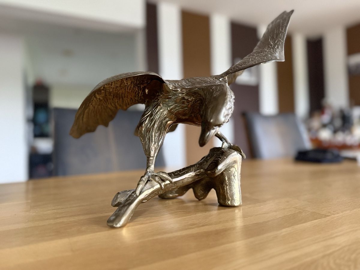 Skulpturen & Statuen: Bronze Adler Skulptur – Gebraucht aus Auw von Francis07