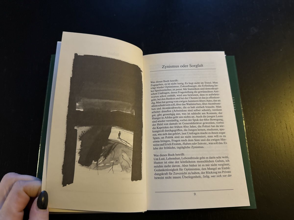 Libri: Hoffnung am Abgrund – Usato da Erstfeld venduto da Mario_boe0 2
