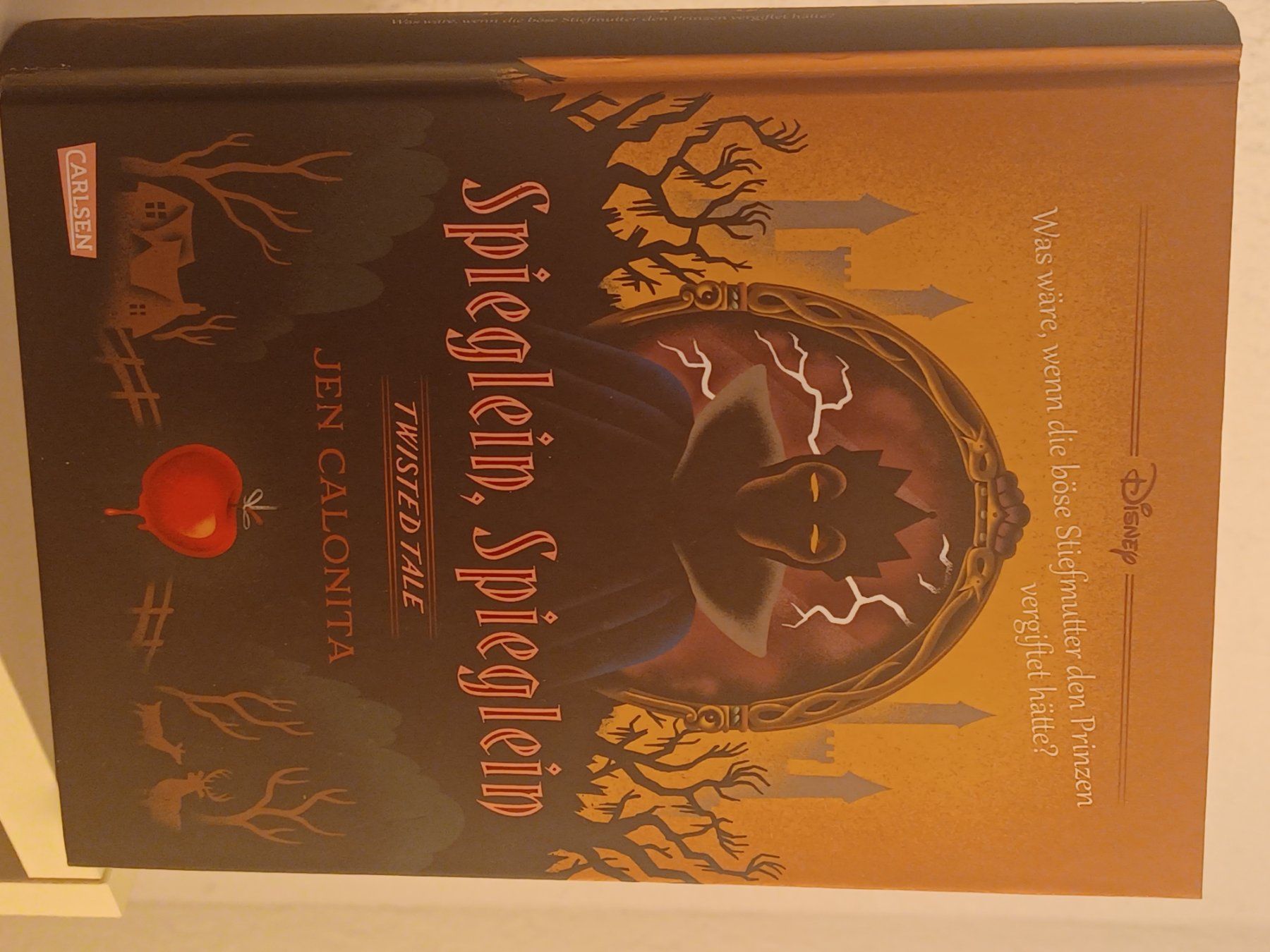 Livres: Spieglein, Spieglein – Neuf (Voir description) à Birr par Andavil