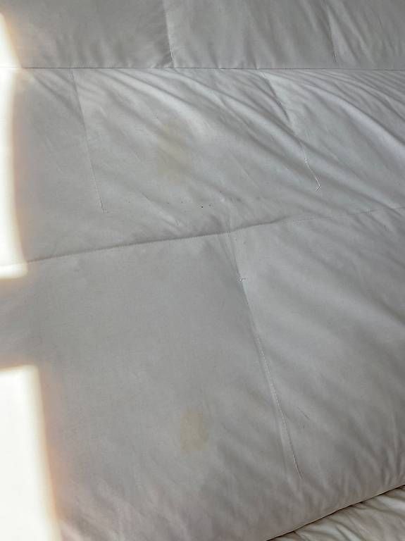 Divani: Bettsofa 140x200 – Usato da Hausen AG venduto da corinne_g 3