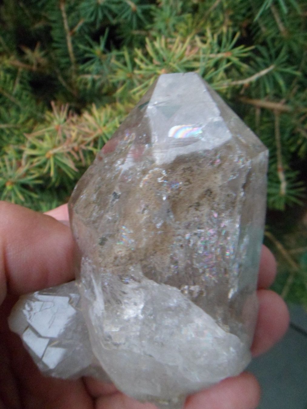 Mineralien & Heilsteine: Bergkristall Schweiz 9 cm – Neu und originalverpackt aus Affoltern am Albis von Fossil60 8