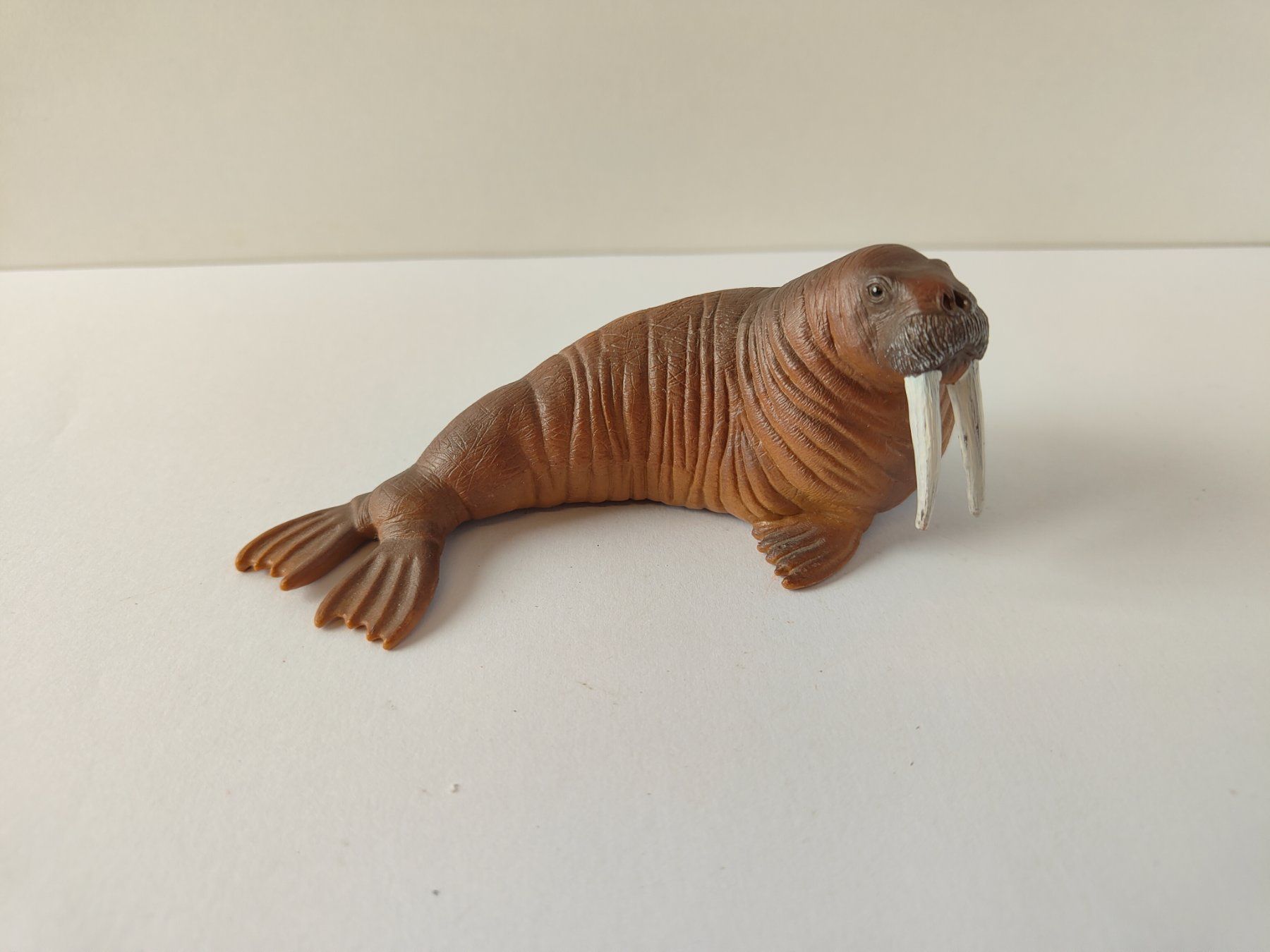Schleich Statuette: Schleich Walross Zoo Meerestiere Sammlung – Usato da Thalwil venduto da FigurenFreunde