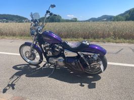 *SUMMER-SALE* Harley-Davidson Sportster 72 - XL 1200 violet