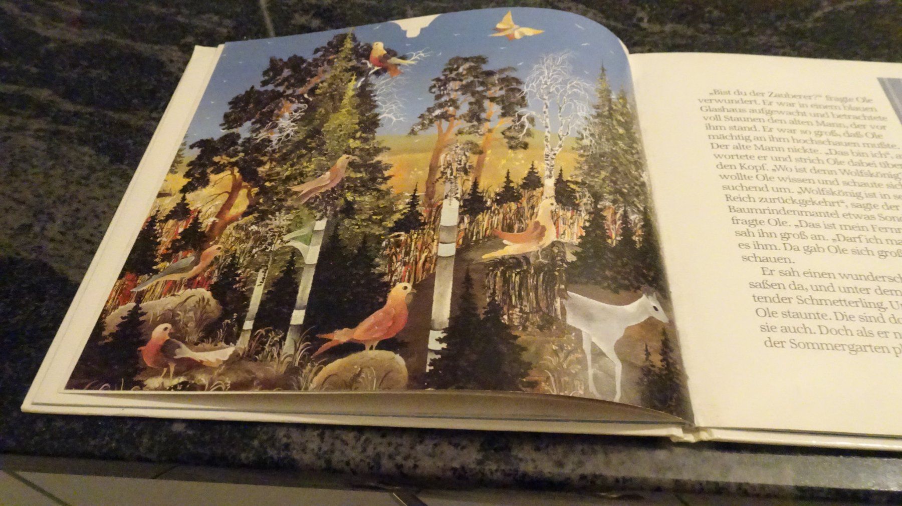 Libri: BILDERBUCH: Ole Winzig Ein Wintermärchen VON BETTINA ANSORGE – Usato da Zürich venduto da Roulet 7