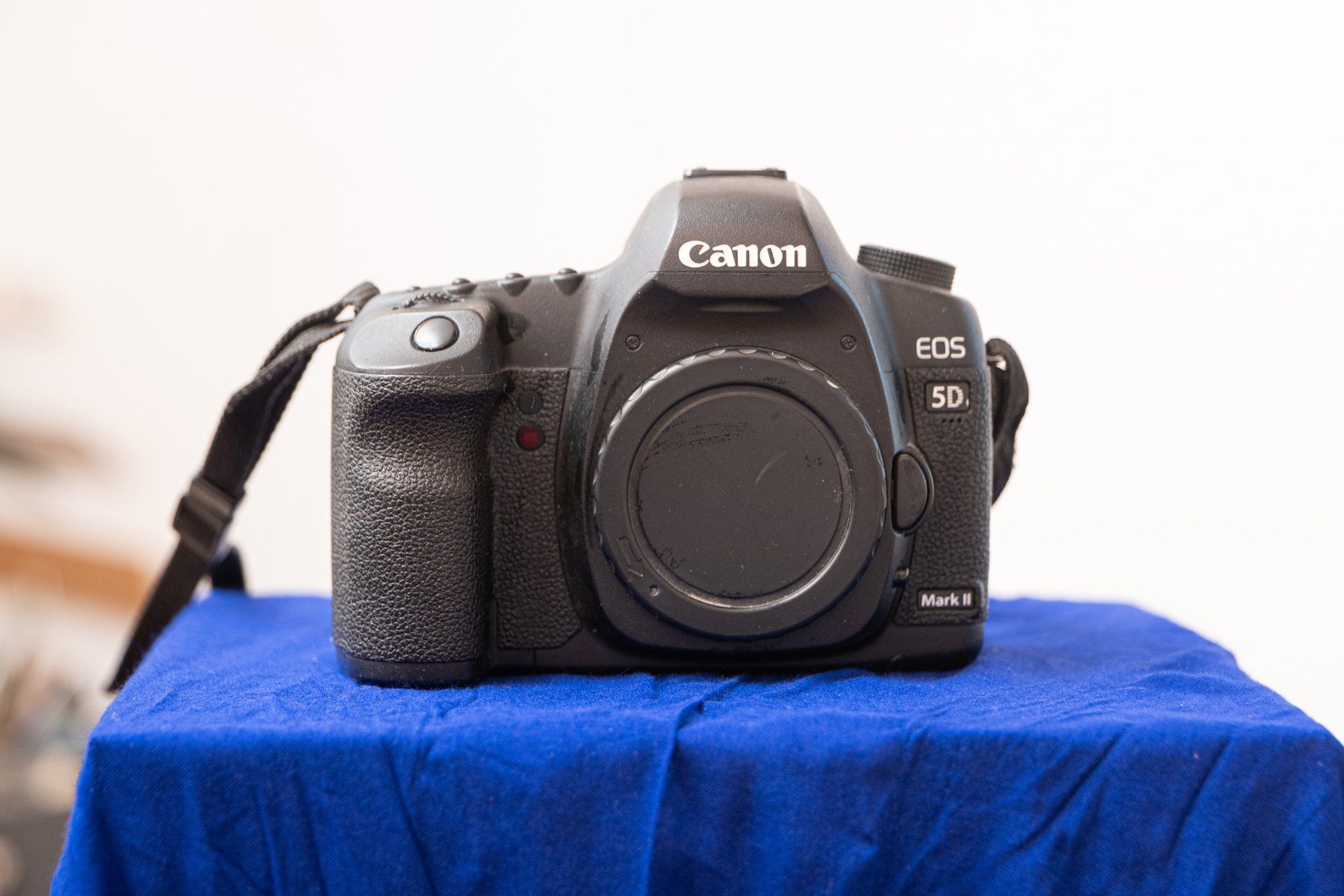 Canon Kamera: DSLR Canon EOS 5D Mark II – Gebraucht aus Beromünster von foto-x 1