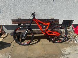 Downhillvelo Noid Kellys