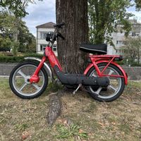 Piaggio ciao - Top Zustand 